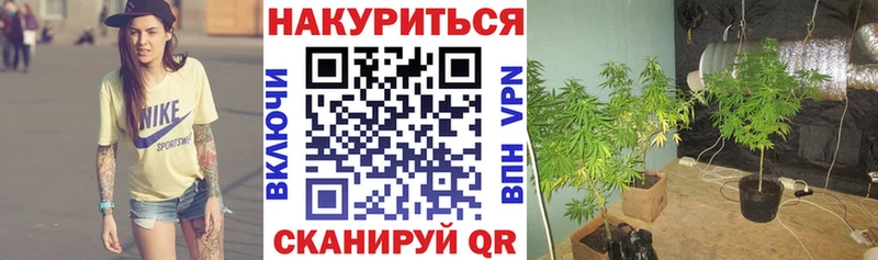 Где продают наркотики Всеволожск Марихуана Кокаин ЭКСТАЗИ Меф мяу мяу ГАШ