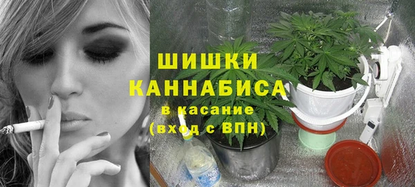 прущие грибы Армянск