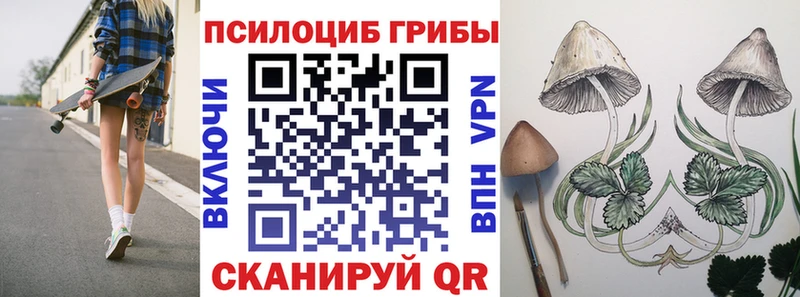 Псилоцибиновые грибы Psilocybe Всеволожск